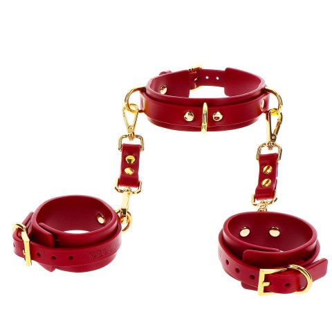 D-Ring Collar and Wrist Cuffs